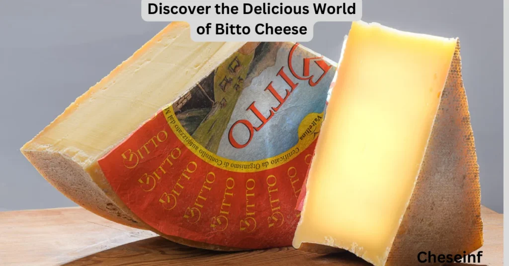 Discover the Delicious World of Bitto Cheese