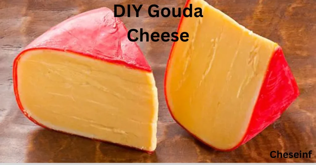 DIY GOUDA CHEESE