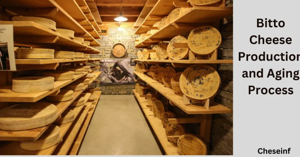 Bitto Cheese Production and Aging Process