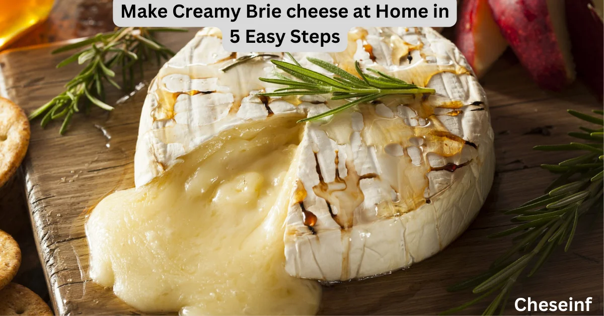 Make Creamy Brie cheese at Home in 5 Easy Steps