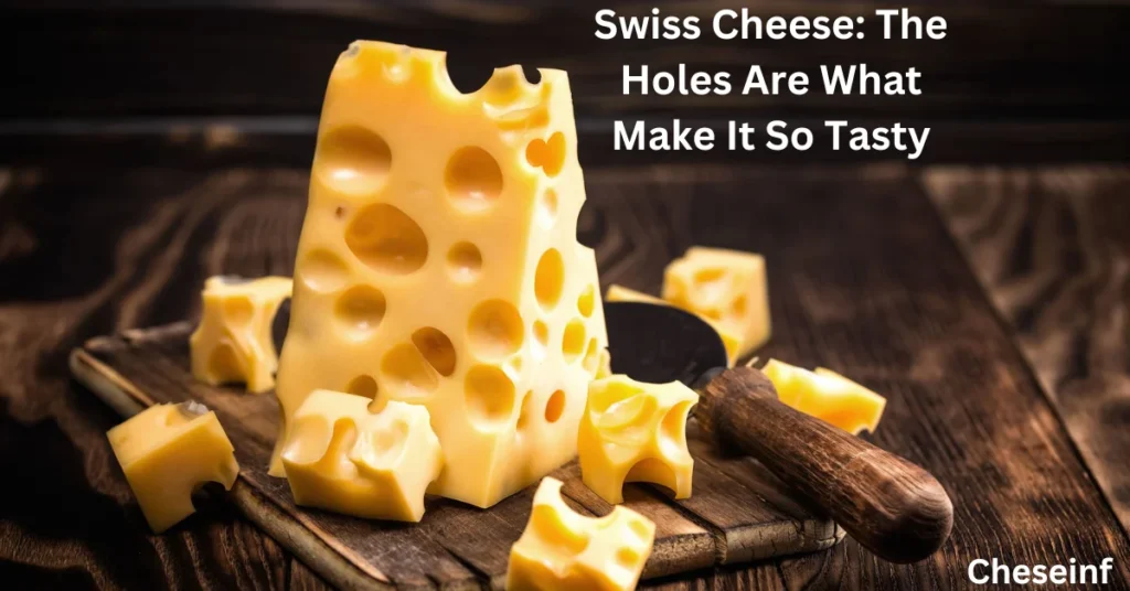 Swiss Cheese: The Holes Are What Make It So Tasty