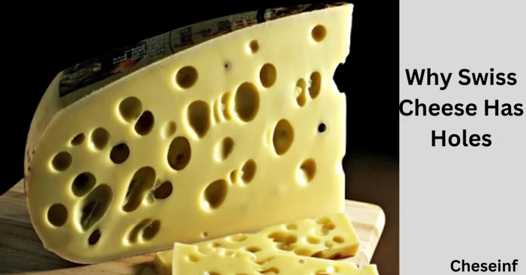 Why Swiss Cheese Has Holes: