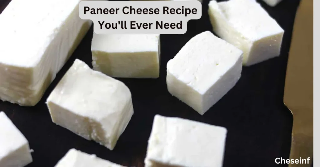 Paneer Cheese Recipe You'll Ever Need