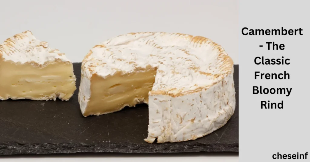 Camembert - The Classic French Bloomy Rind